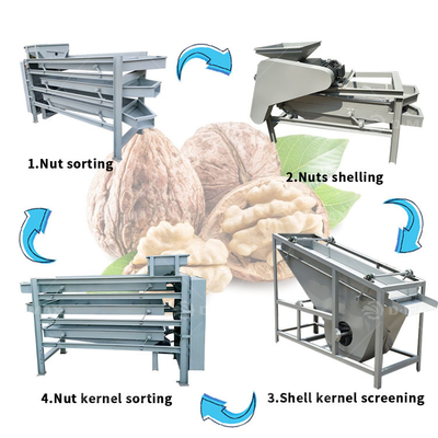 Коммерческое использование Миндалевые орехи Sheller Breaking Cracking Machine for Walnut Palm Kernel